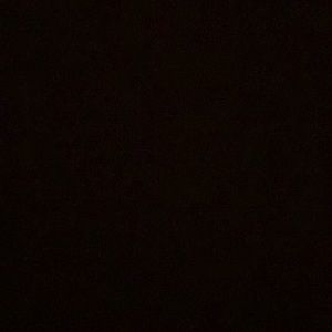 Meet your Posher, Carter